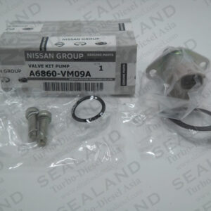 A6860-VM09A NISSAN OVERHAUL KITS for sale